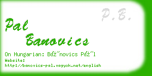 pal banovics business card